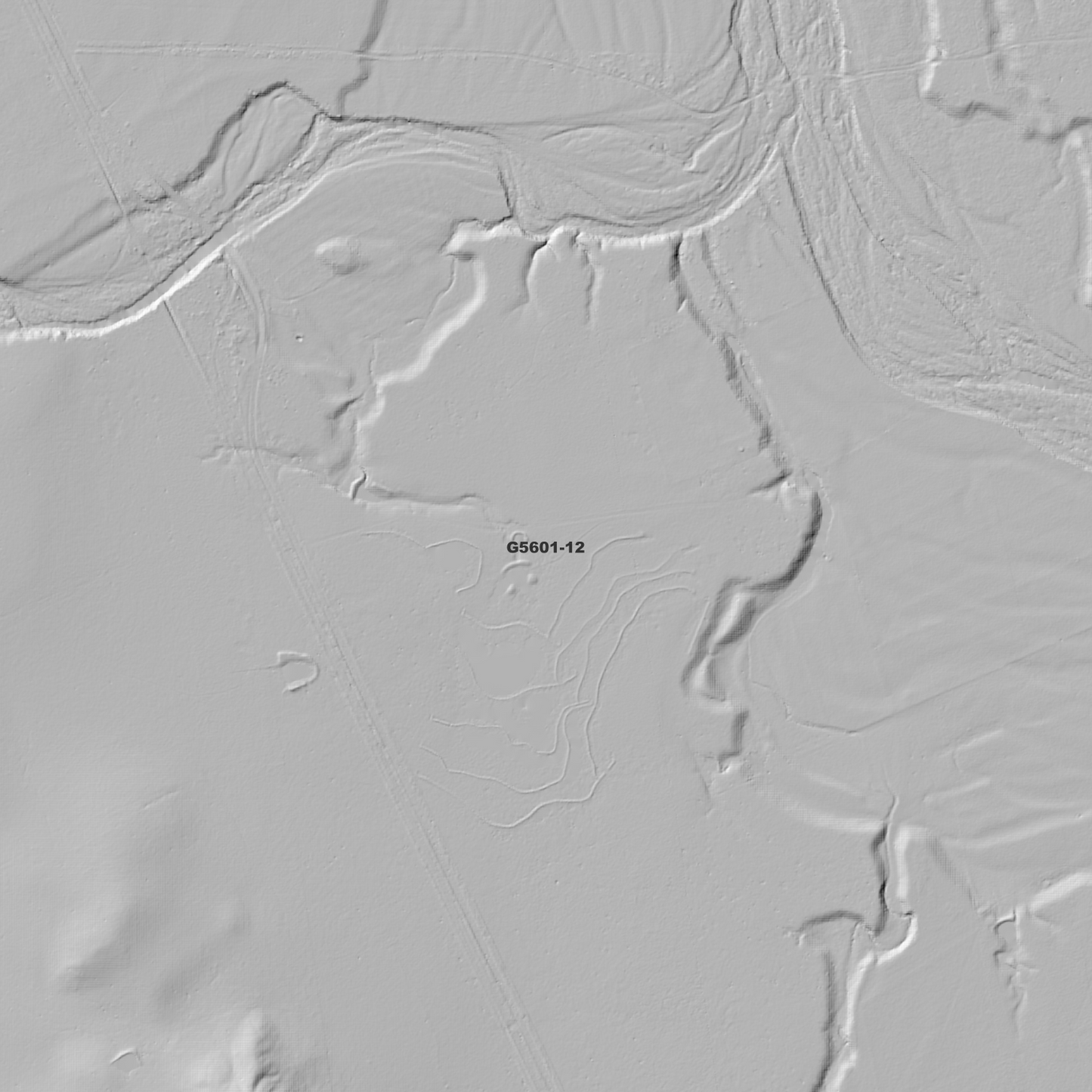 Nagoorin 1m Digital Elevation Model (G5601-12)