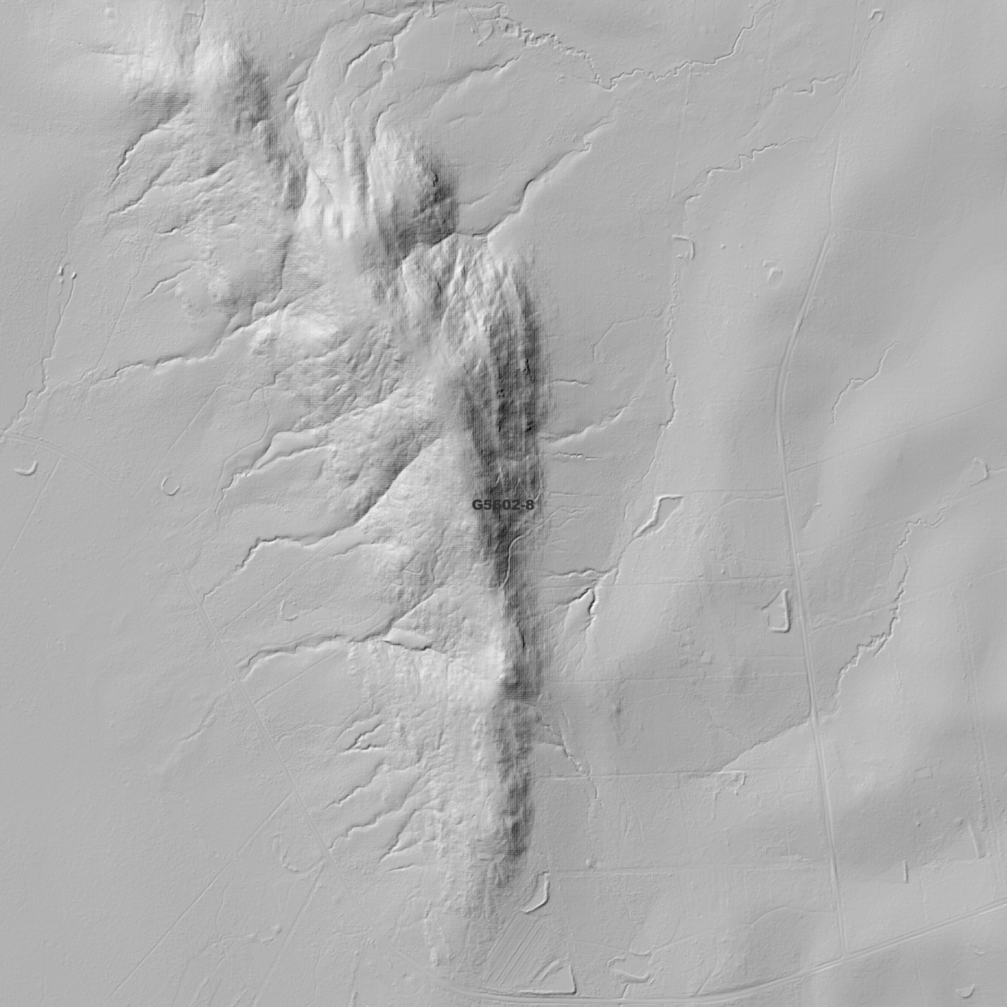 Taunton 1m Digital Elevation Model (G5602-8)