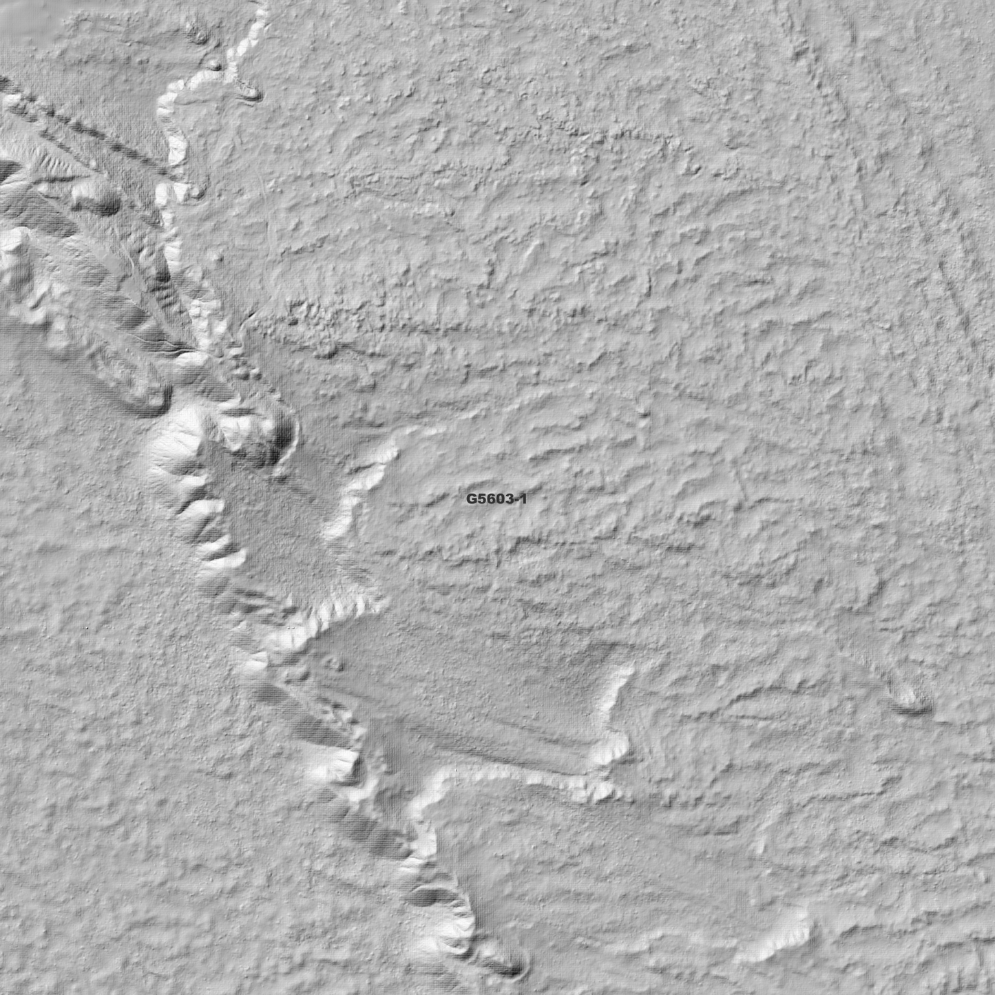 Flinders 1m Digital Elevation Model (G5603-1)