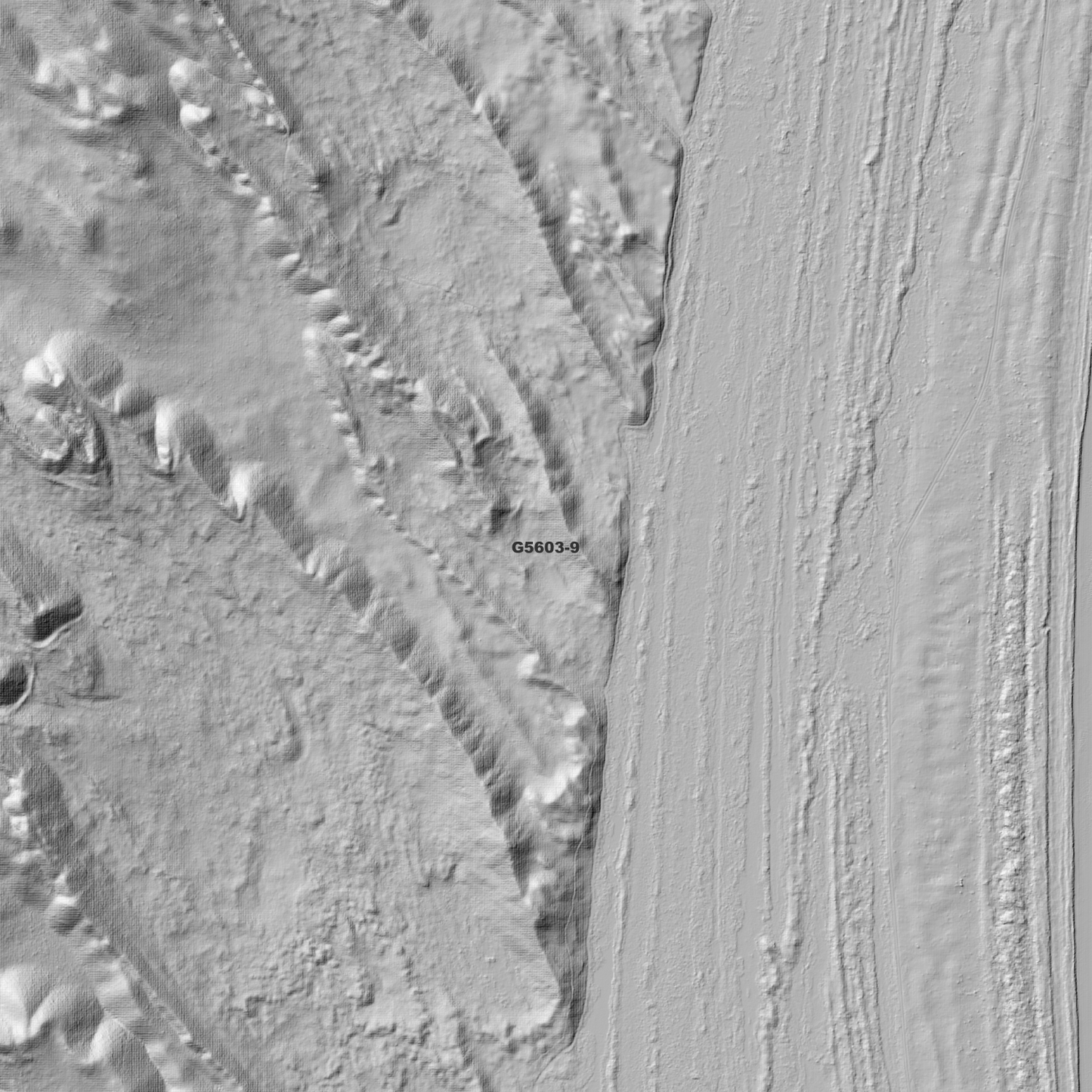 Boomanjin 1m Digital Elevation Model (G5603-9)