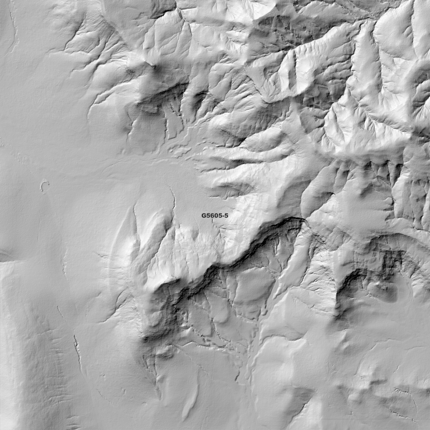 Abercom 1m Digital Elevation Model (G5605-5)