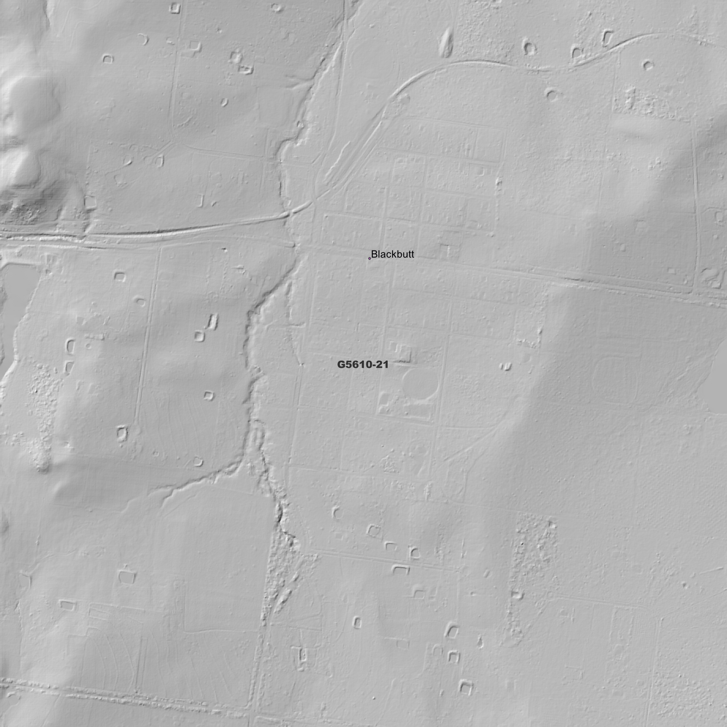 Blackbutt 1m Digital Elevation Model (G5610-21)