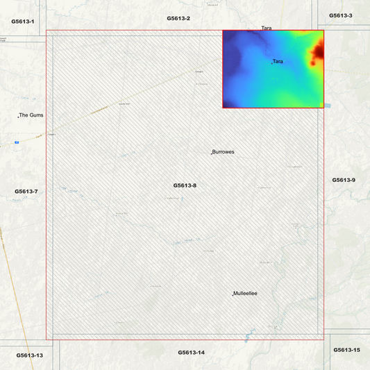 Tara 1m Digital Elevation Model (G5613-8)