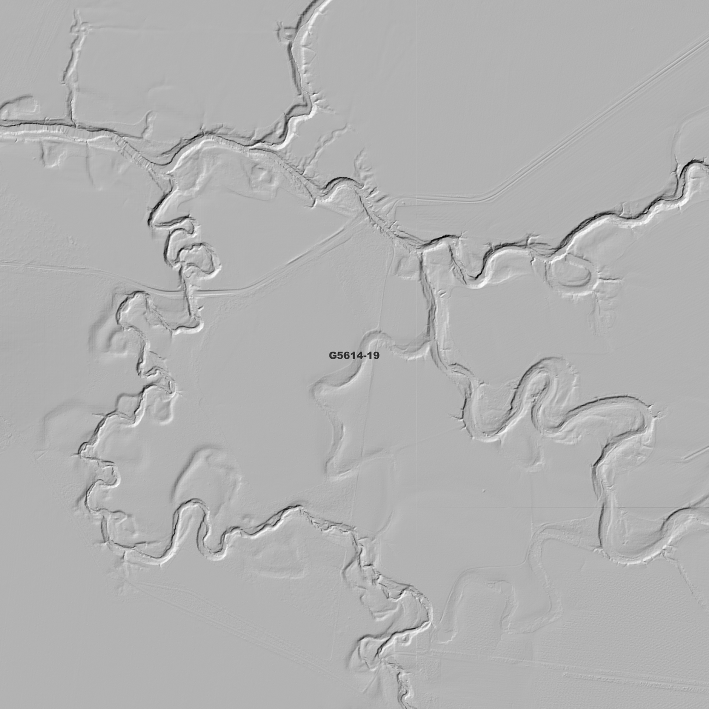 Felton 1m Digital Elevation Model (G5614-19)