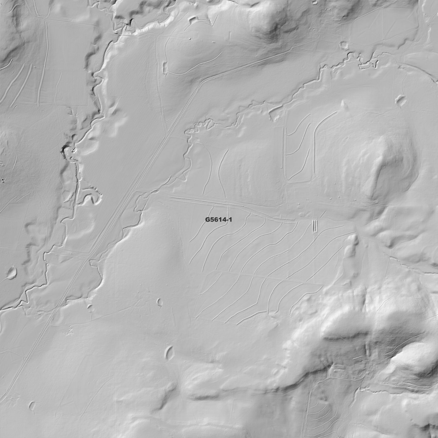 Rosalie 1m Digital Elevation Model (G5614-1)