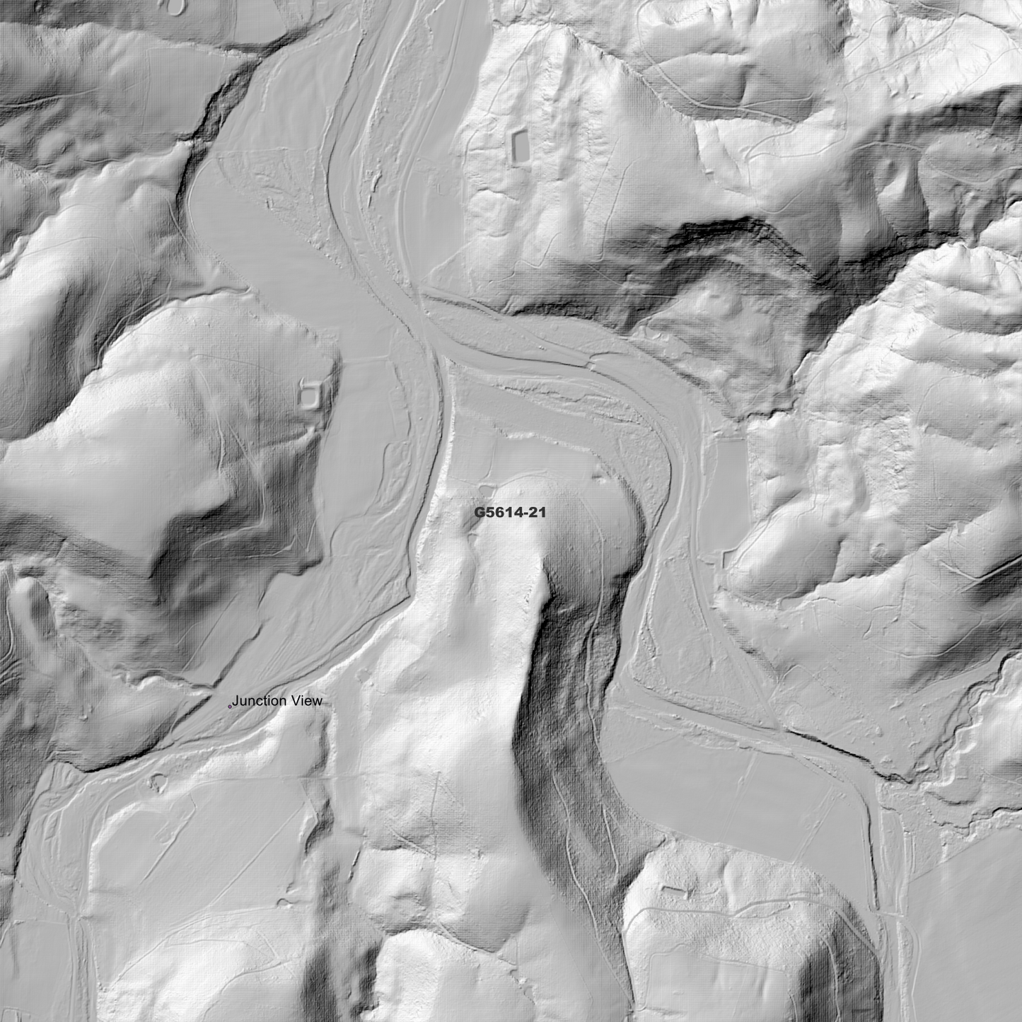 Haldon 1m Digital Elevation Model (G5614-21)