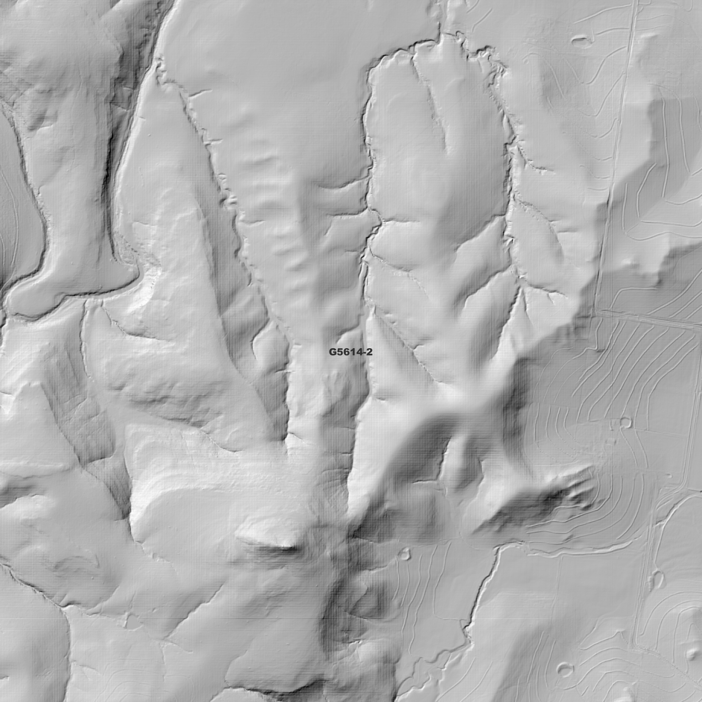 Haden 1m Digital Elevation Model (G5614-2)
