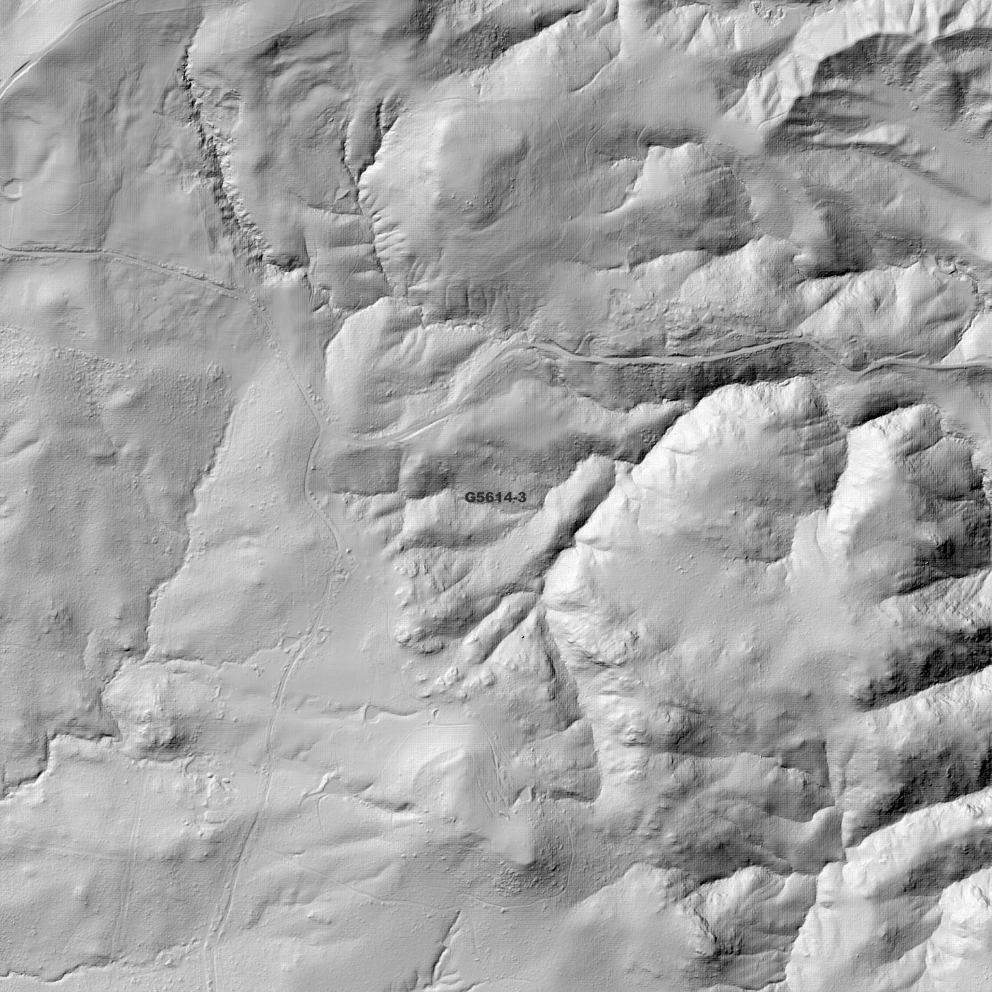 Bluff 1m Digital Elevation Model (G5614-3)