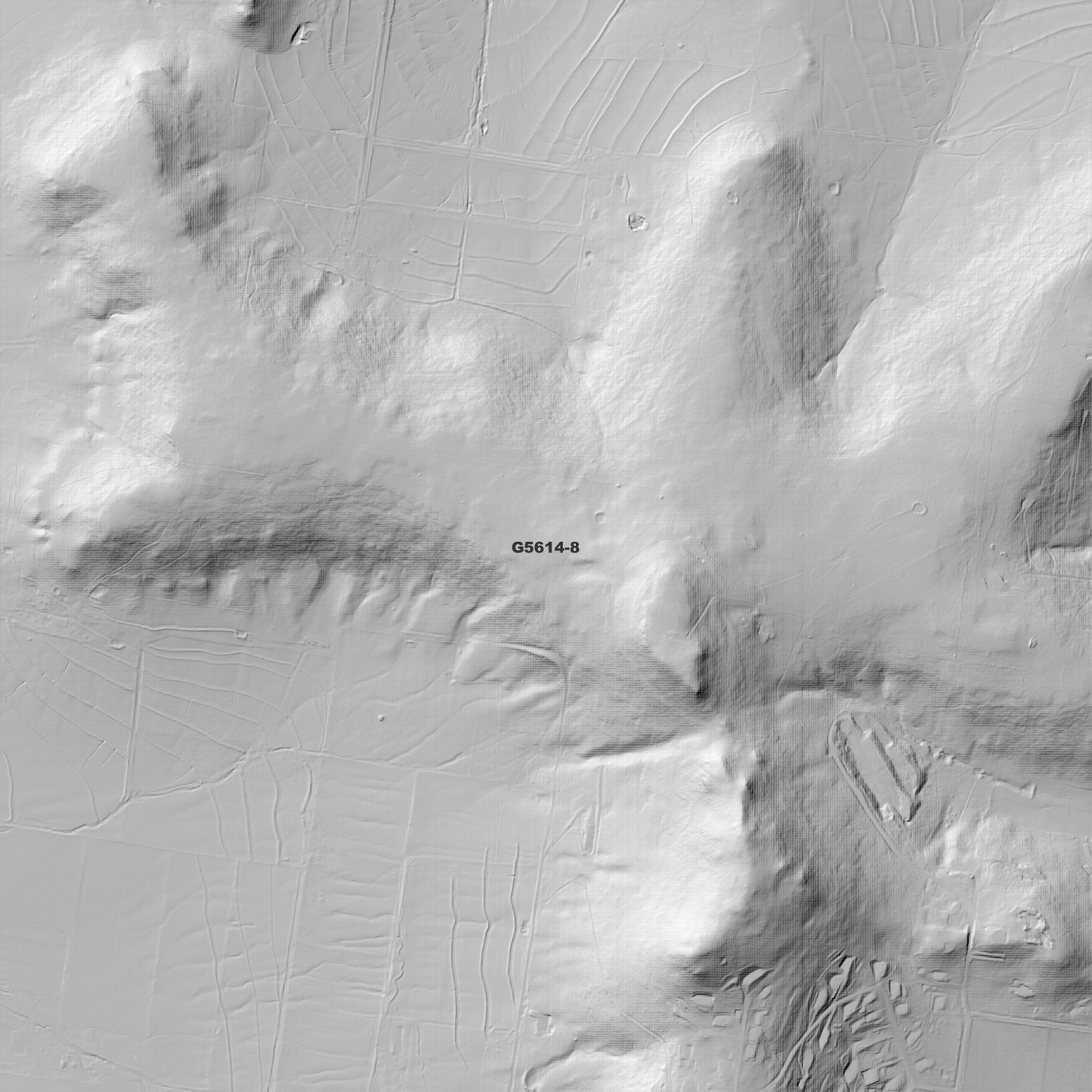 Highfields 1m Digital Elevation Model (G5614-8)