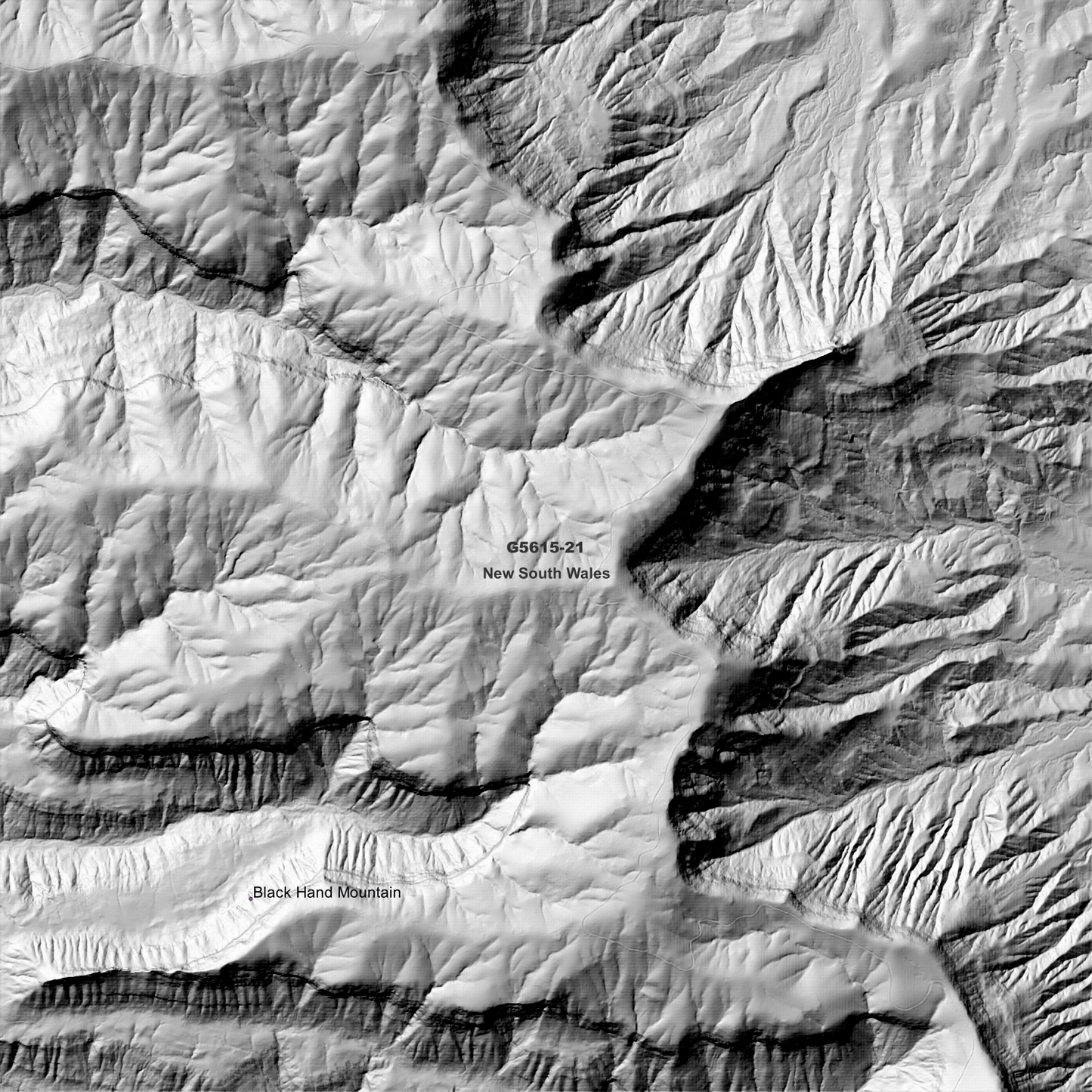 Lamington 1m Digital Elevation Model (G5615-21)