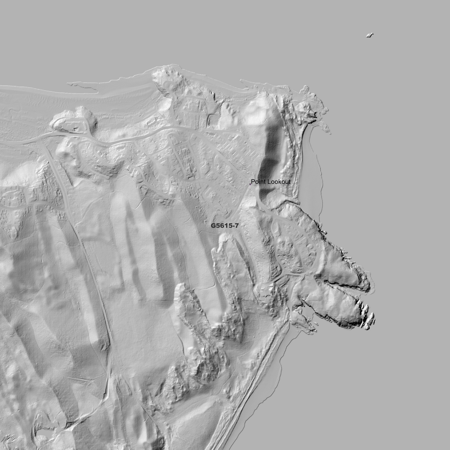 Point 1m Digital Elevation Model (G5615-7)