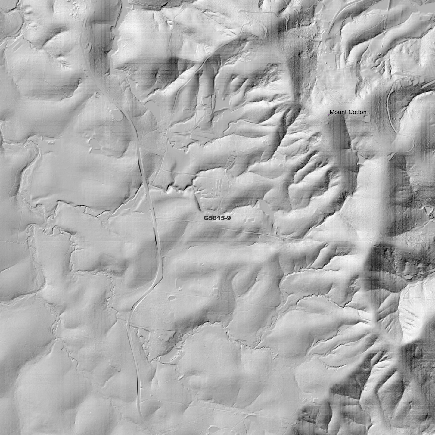 Wishart 1m Digital Elevation Model (G5615-9)