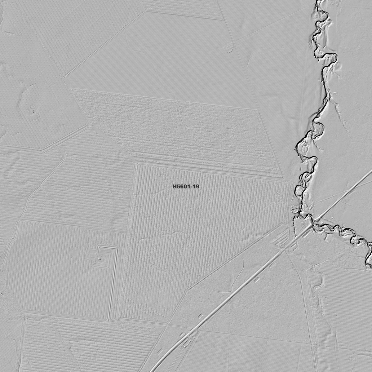 Close-up Tulloona 1m hillshade showing local terrain detail.
