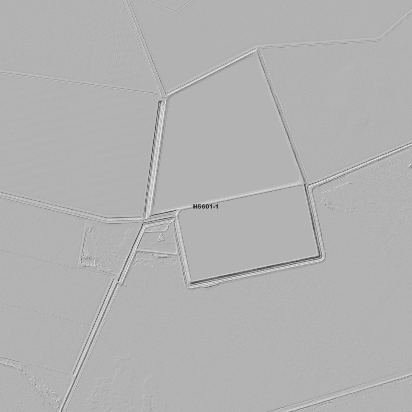 Tarewinnabar 1m Digital Elevation Model (H5601-1)