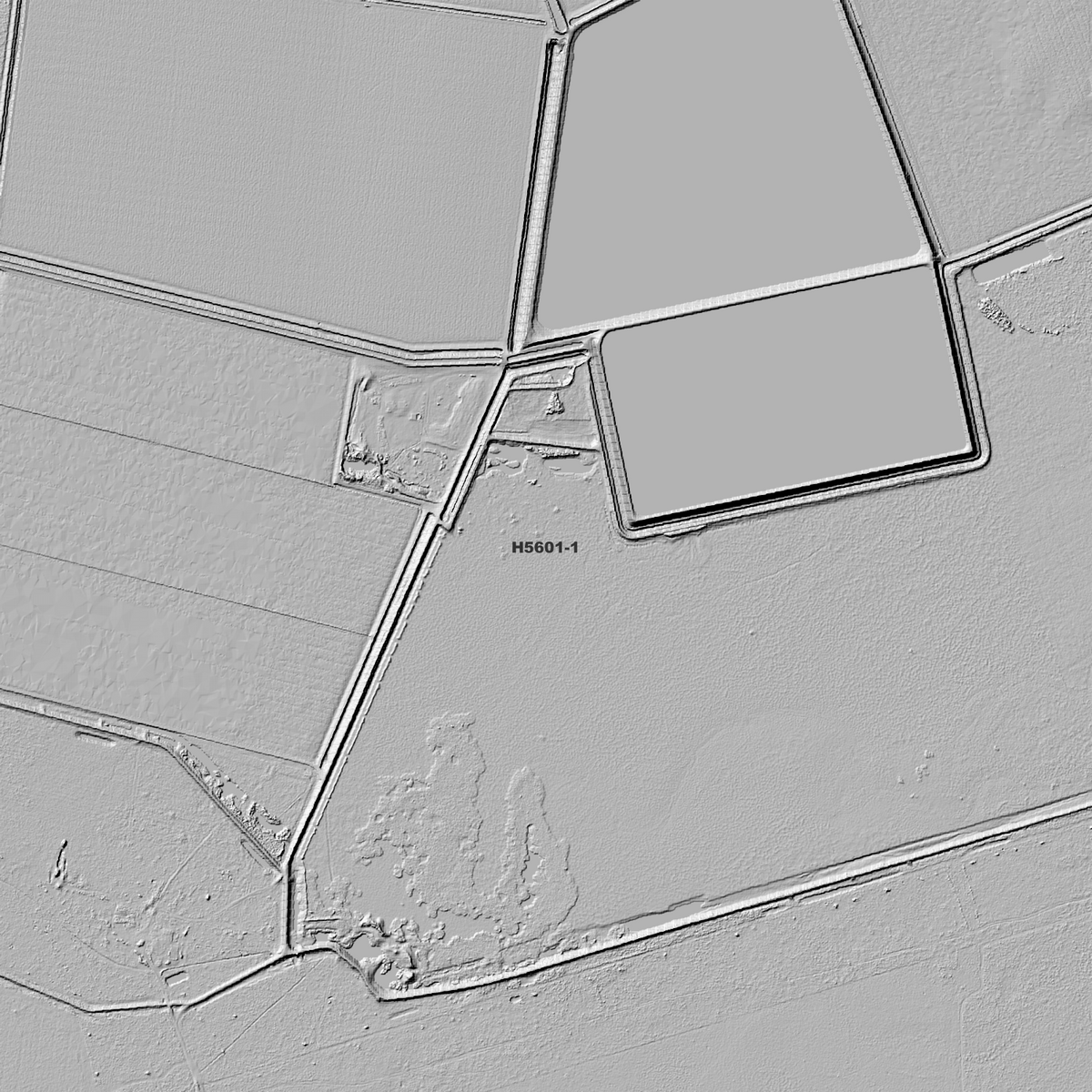 Close-up Tarewinnabar hillshade showing rectangular embanked basins and intersecting tracks.
