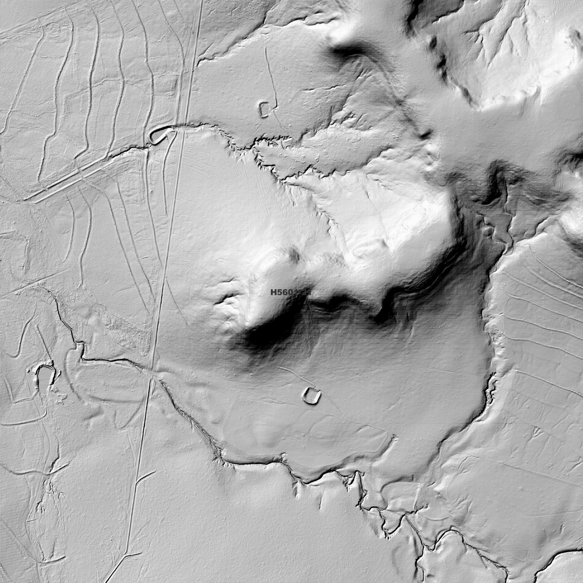 Close-up Ngoonyalah 1m hillshade showing local terrain detail.
