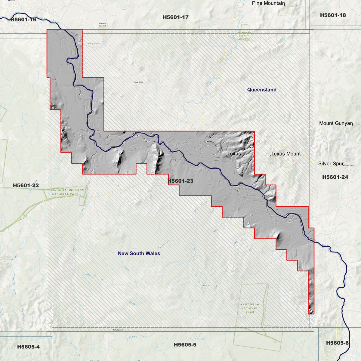Texas 50cm hillshade showing terrain relief within the outlined data coverage area.
