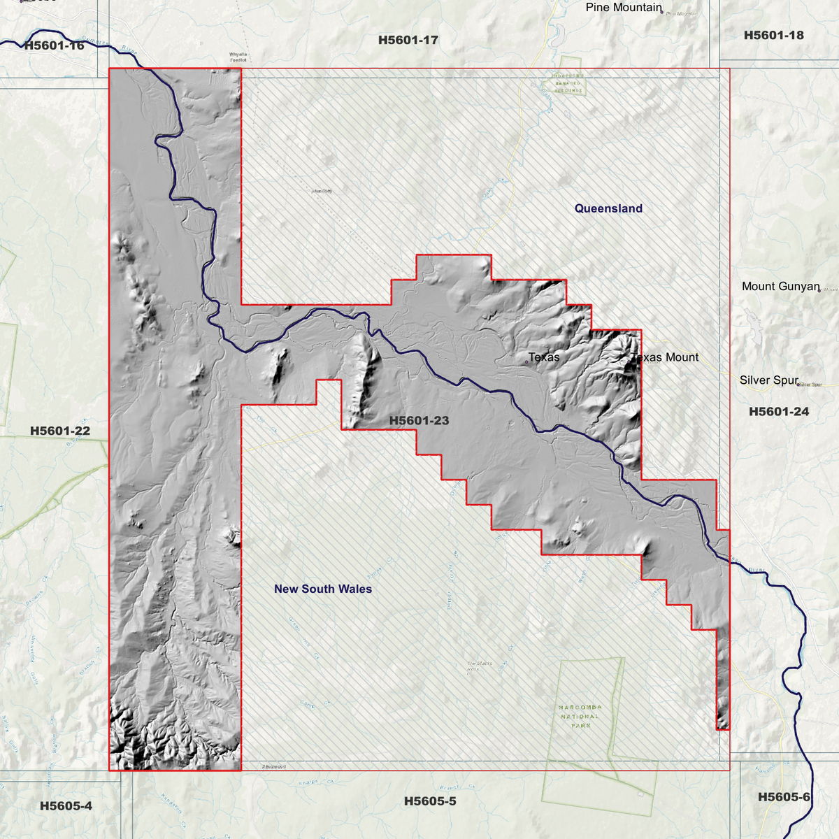 Texas 1m hillshade showing terrain relief within the outlined data coverage area.
