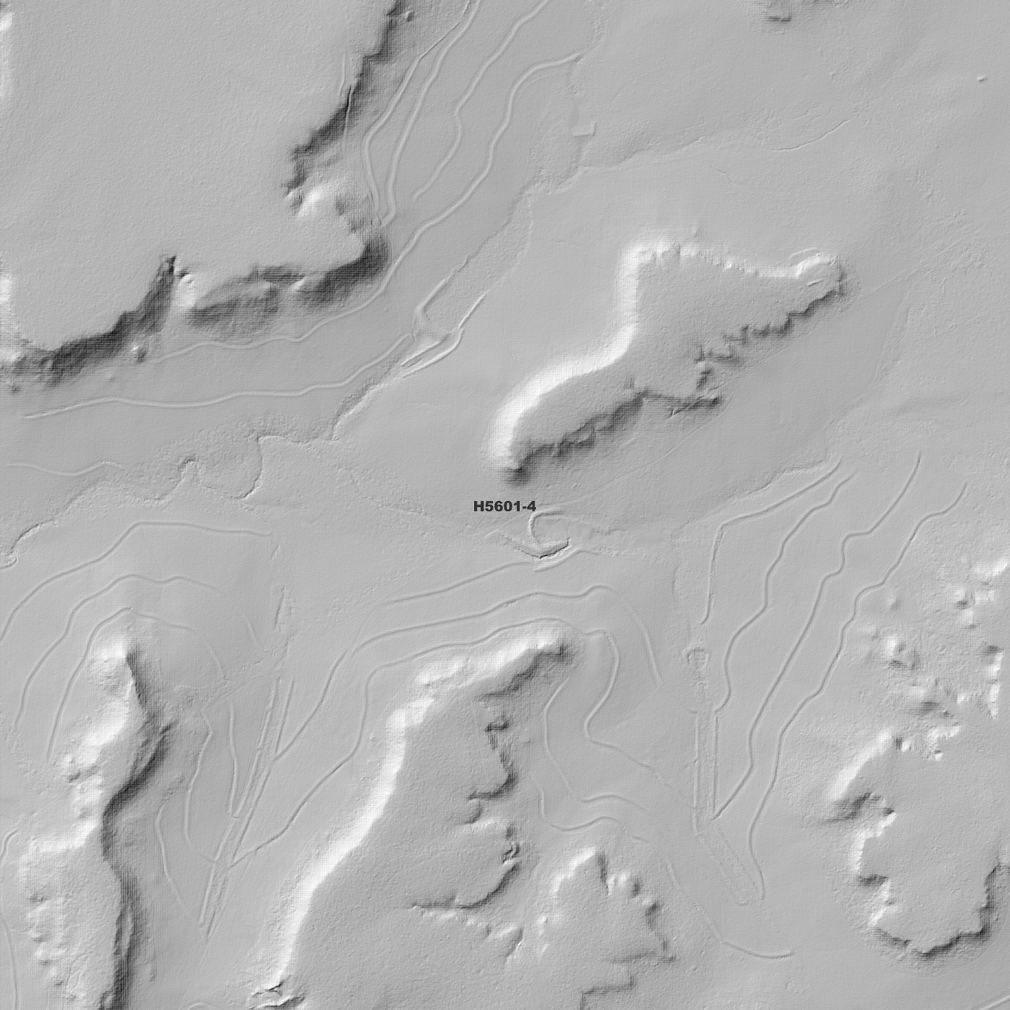 Kindon 1m Digital Elevation Model (H5601-4)