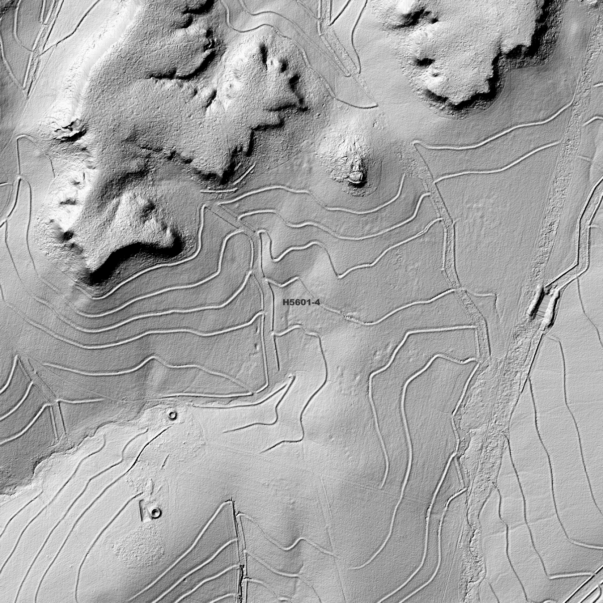 Close-up Gunn Creek hillshade showing hills, curved earthworks and a branching drainage channel.
