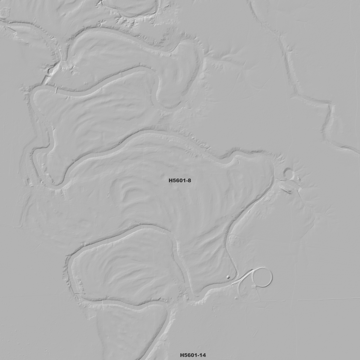 Murri Murri 1m Digital Elevation Model (H5601-8)