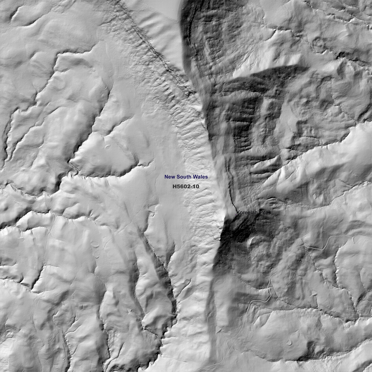 Koreelah 1m & 2m Digital Elevation Models (H5602-10)