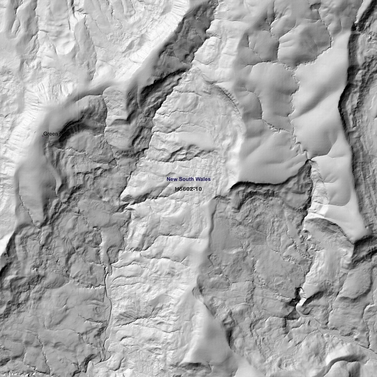 Koreelah 1m & 2m Digital Elevation Models (H5602-10)