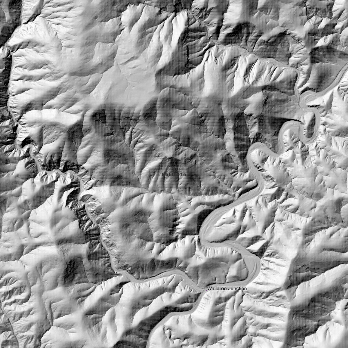 Liston 50cm, 1m & 2m Digital Elevation Models (H5602-15)