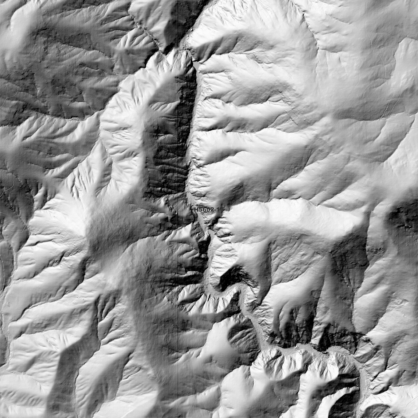 Liston 1m Digital Elevation Model (H5602-15)