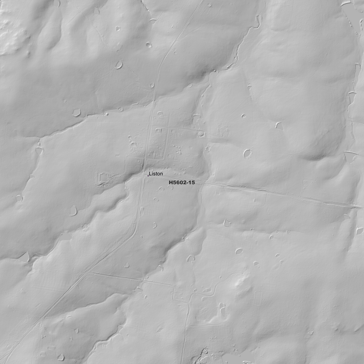 Liston 50cm, 1m & 2m Digital Elevation Models (H5602-15)