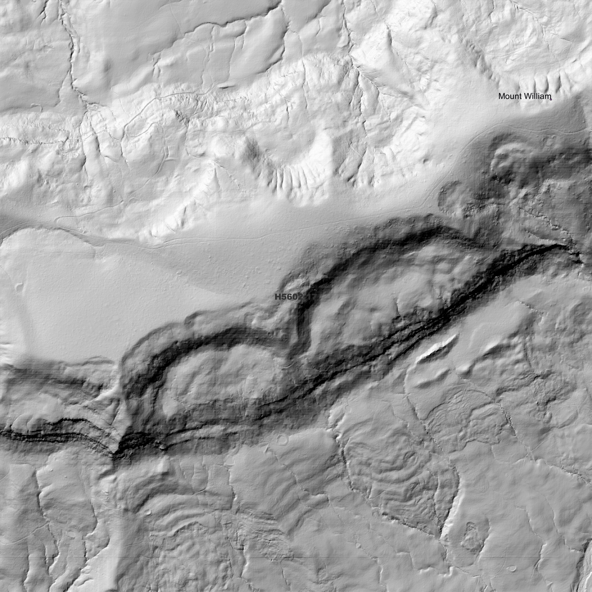 Bonalbo 1m Digital Elevation Models (H5602-17)