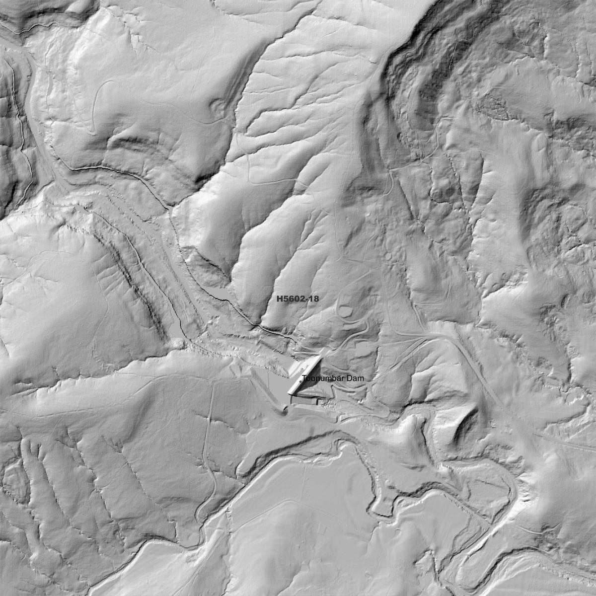 Toonumbar 1m Digital Elevation Models (H5602-18)