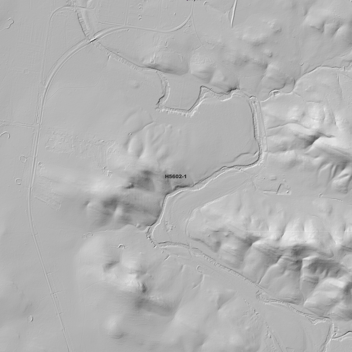Leyburn 1m Digital Elevation Models (H5602-1)