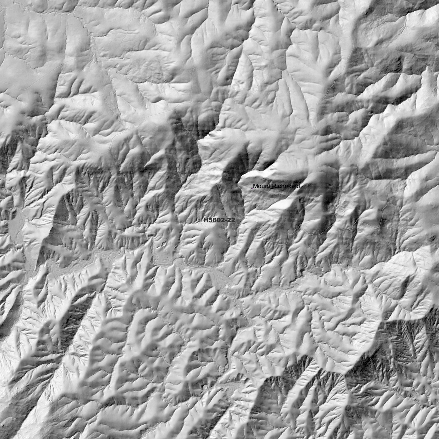 Drake 1m Digital Elevation Model (H5602-22)