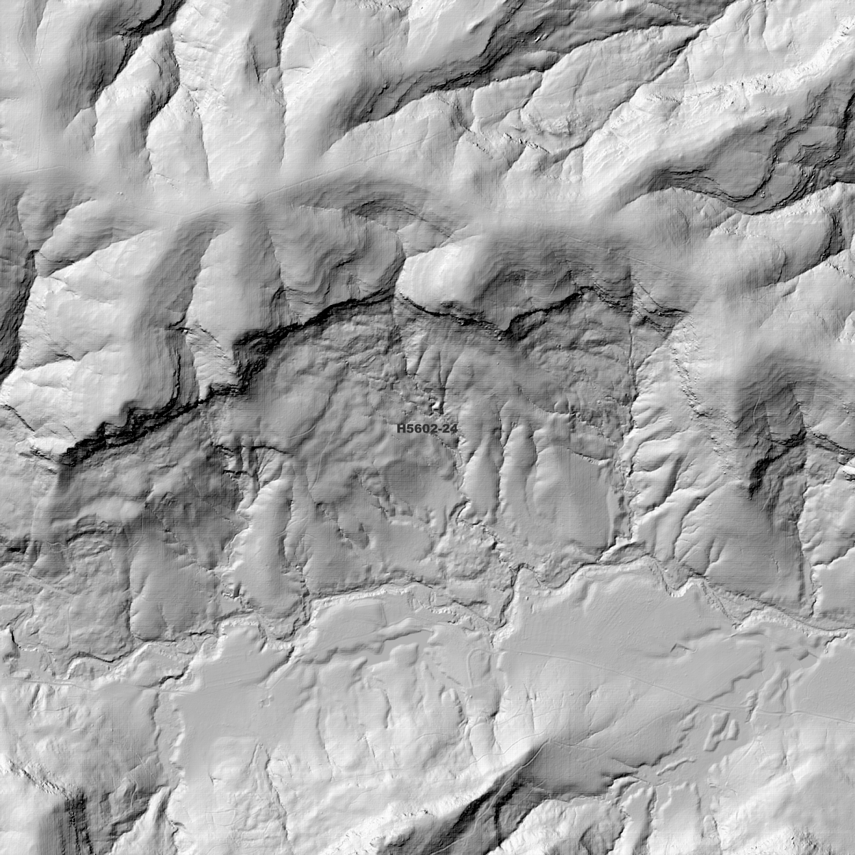 Hogarth 1m Digital Elevation Models (H5602-24)