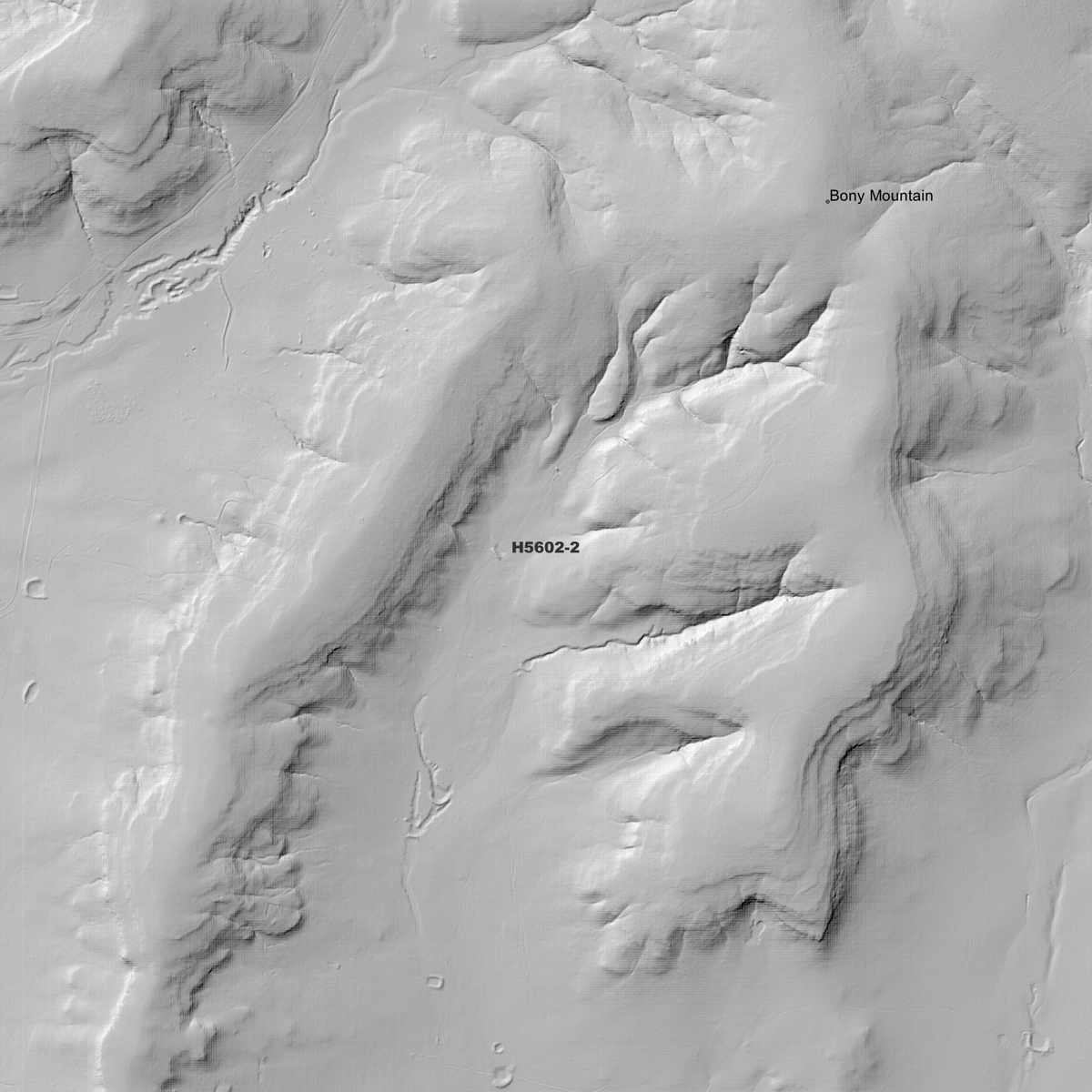 Leslie 1m Digital Elevation Models (H5602-2)