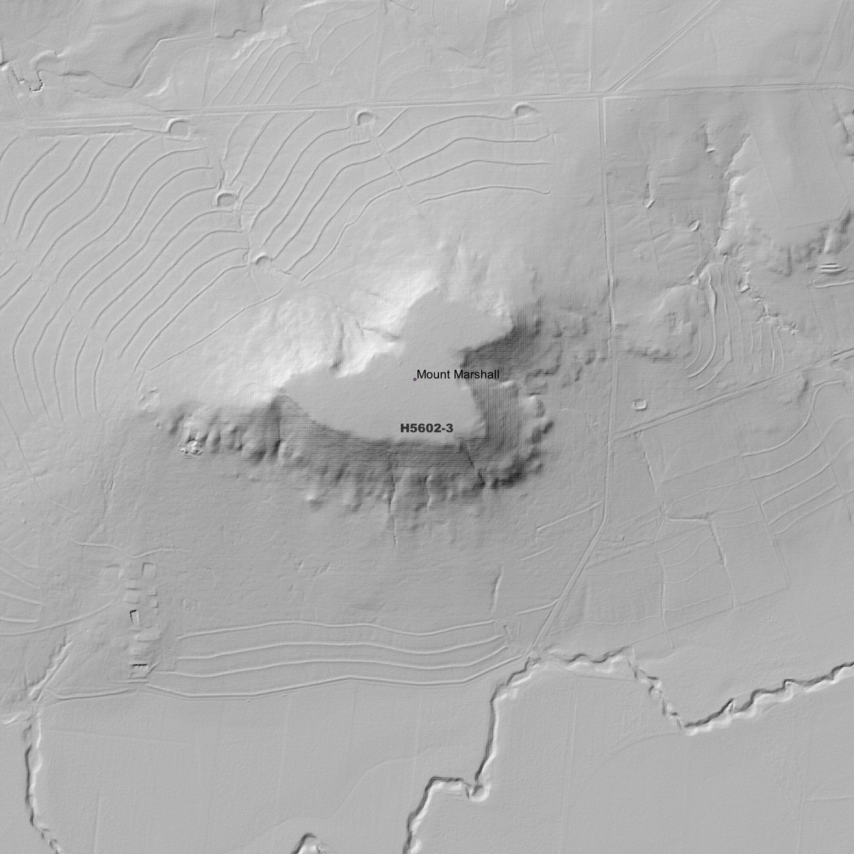 Warwick 1m Digital Elevation Models (H5602-3)