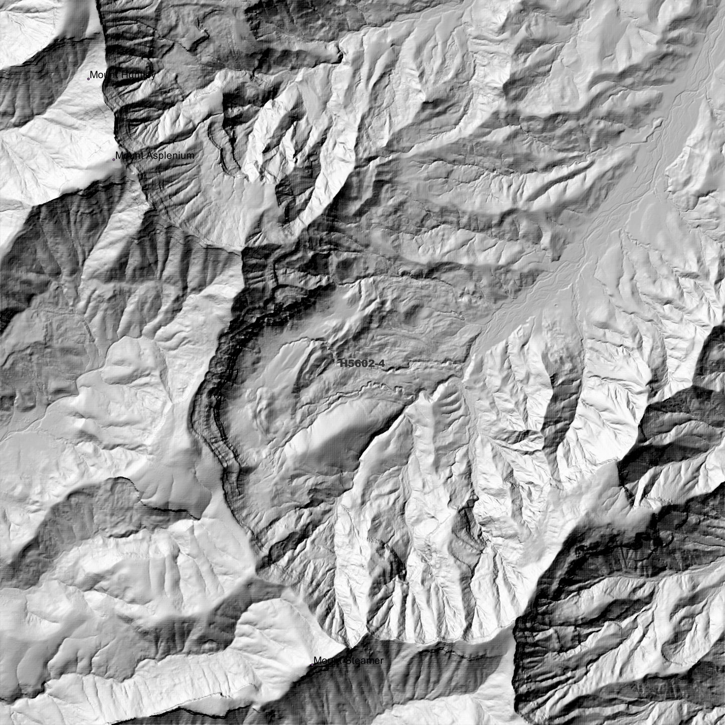 Alphen 1m Digital Elevation Model (H5602-4)