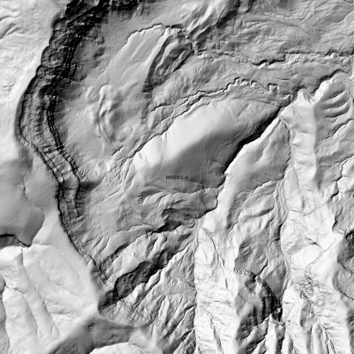 Alphen 1m Digital Elevation Models (H5602-4)