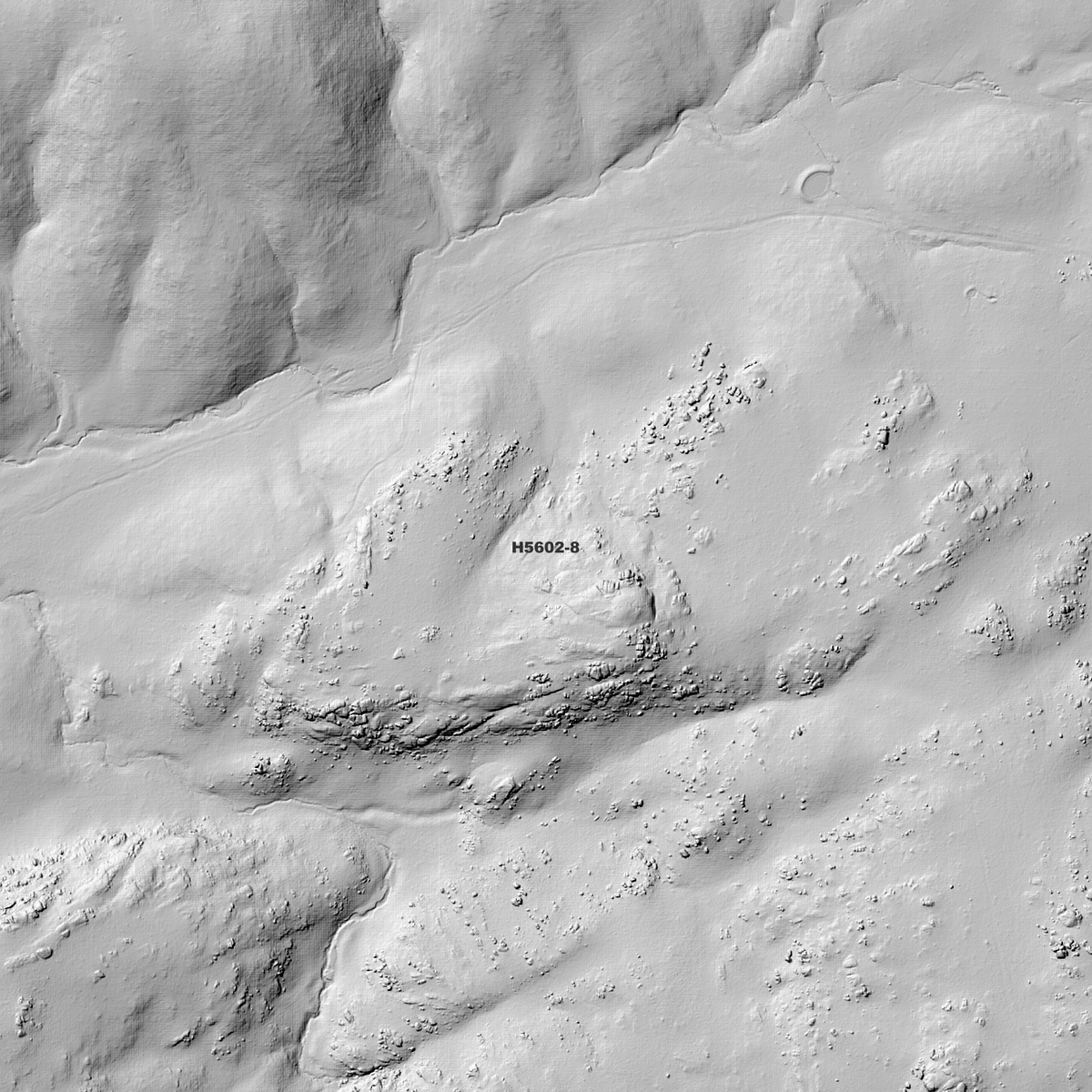 Dalveen 50cm & 1m Digital Elevation Models (H5602-8)