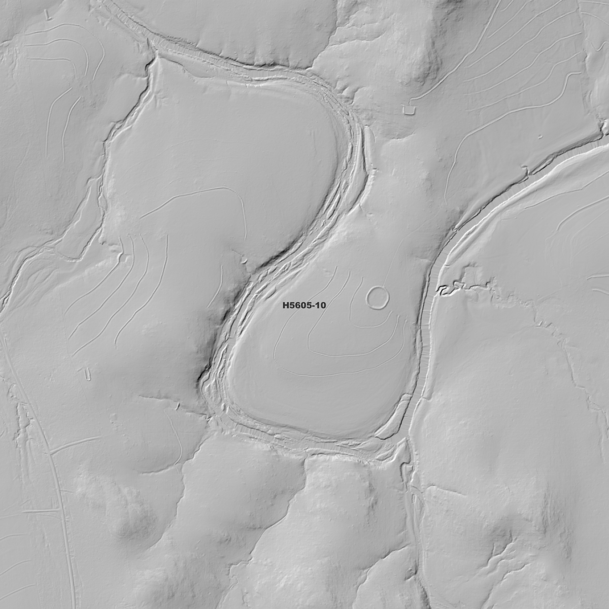 Balfours Peak 1m & 2m Digital Elevation Models (H5605-10)