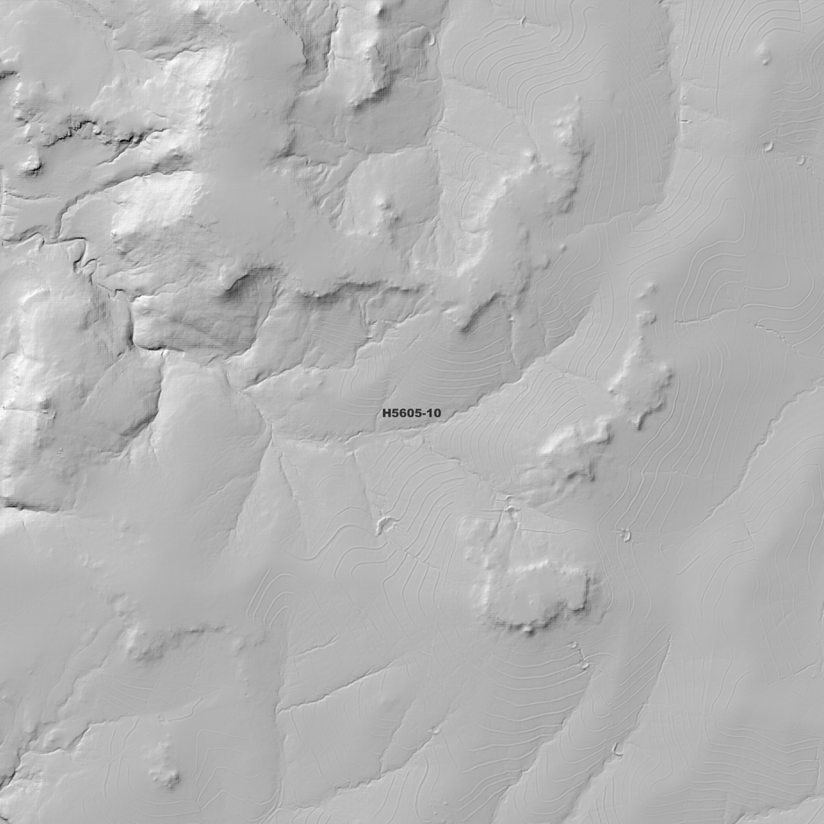 Balfours Peak 1m & 2m Digital Elevation Models (H5605-10)