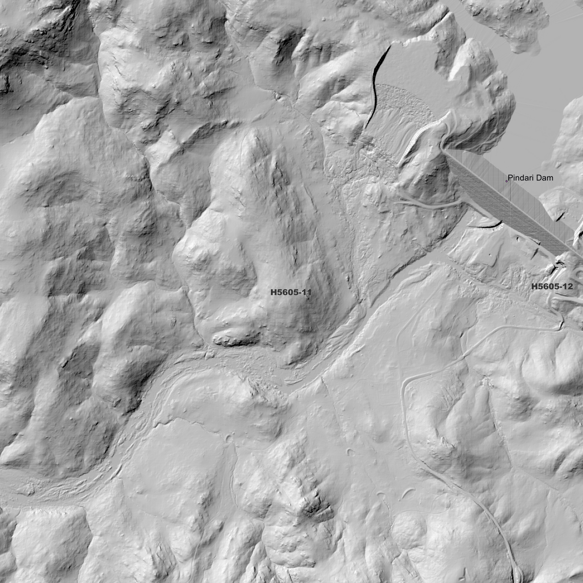 Ashford 1m, 2m & 5m Digital Elevation Models (H5605-11)