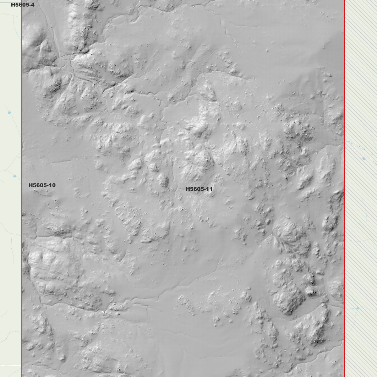 Ashford 1m, 2m & 5m Digital Elevation Models (H5605-11)