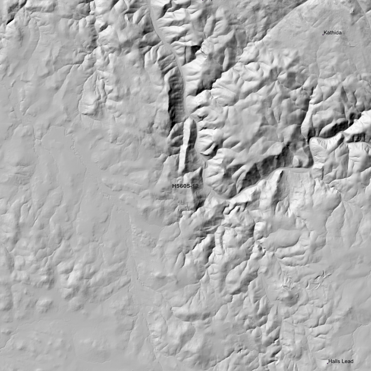 Pindari 1m & 5m Digital Elevation Models (H5605-12)