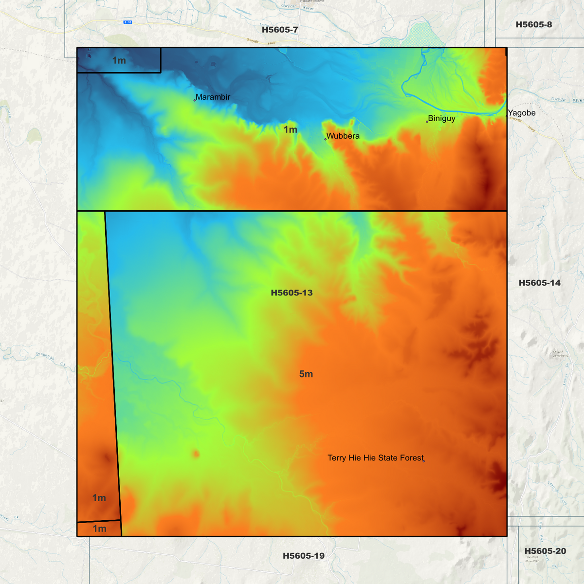 Biniguy 1m & 5m Digital Elevation Models (H5605-13)