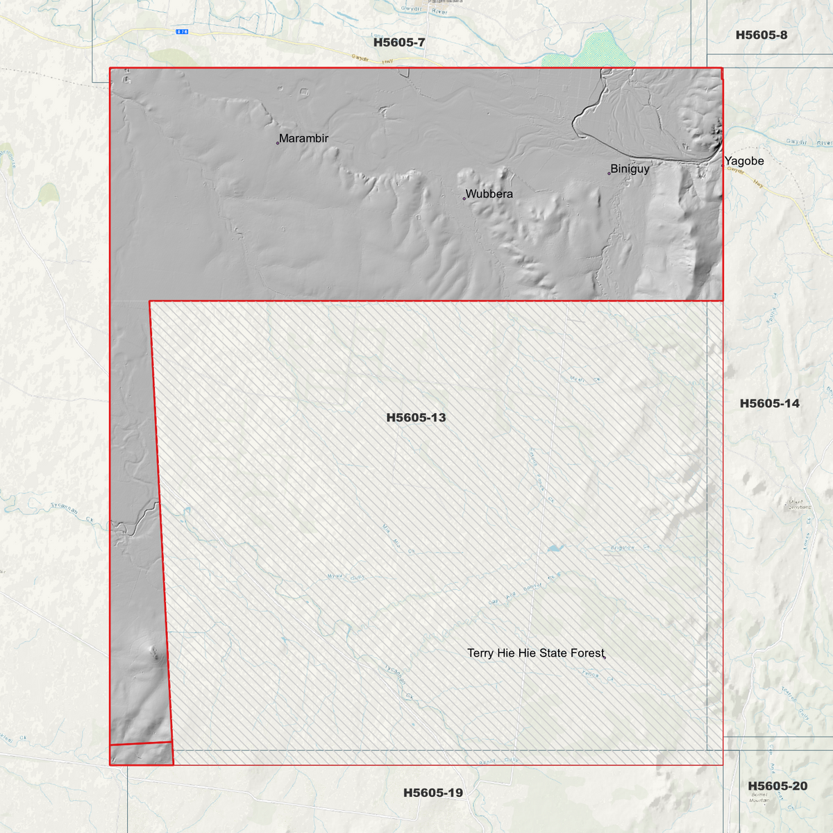 Biniguy 1m & 5m Digital Elevation Models (H5605-13)