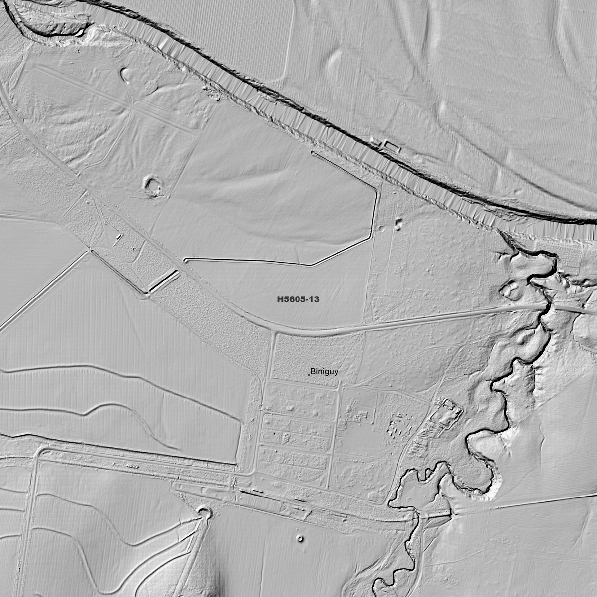 Biniguy 1m & 5m Digital Elevation Models (H5605-13)