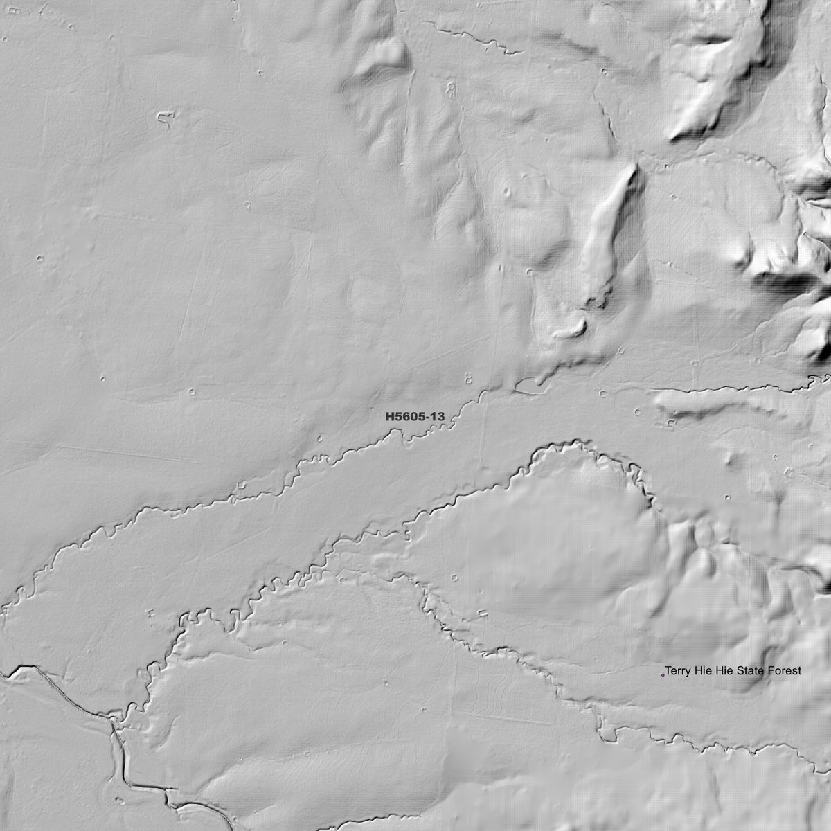 Biniguy 1m & 5m Digital Elevation Models (H5605-13)