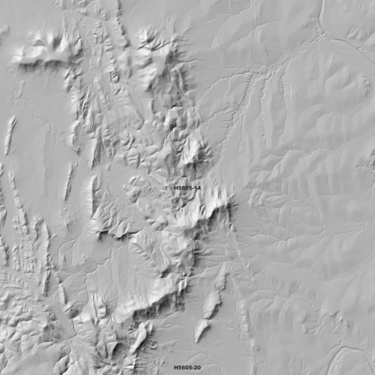 Glendon 1m, 2m & 5m Digital Elevation Models (H5605-14)